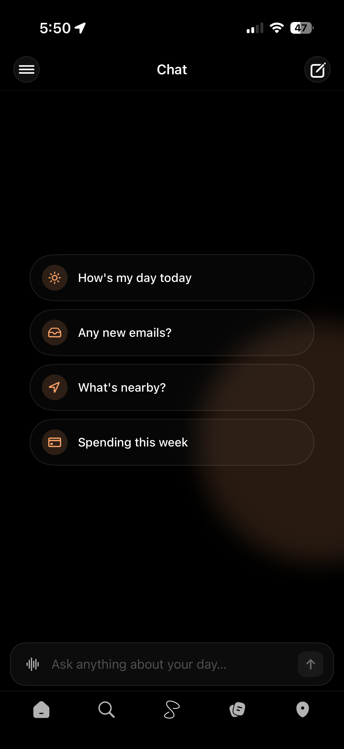 Seline chat screen